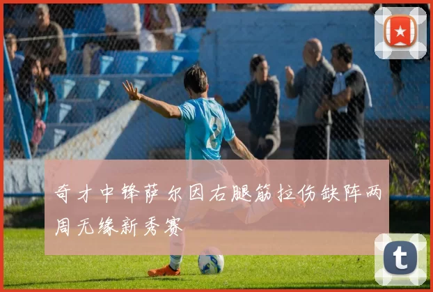 奇才中锋萨尔因右腿筋拉伤缺阵两周无缘新秀赛